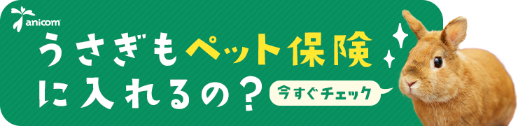 うさぎの平均寿命は何歳 寿命の長い種類 短い種類は ギネス記録は うさぎとの暮らし大百科