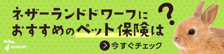 一番の人気品種 ネザーランドドワーフの特徴や寿命性格やなりやすい病気は うさぎとの暮らし大百科