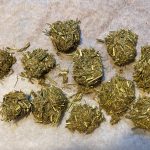 うさぎはストレスを感じやすい うさぎのストレス対処法は うさぎがストレスを感じない環境作りとは うさぎとの暮らし大百科