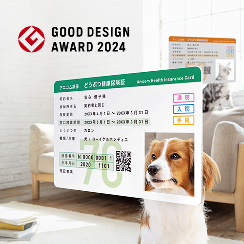 GOOD DESIGN AWARD 2024