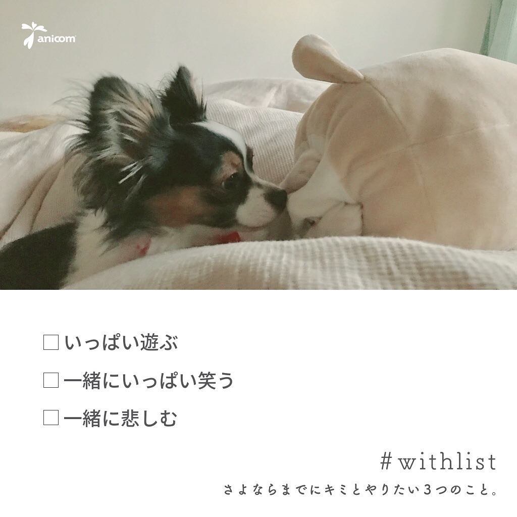 withlistさよならまでにキミとやりたい３つのこと│ペット保険のご契約