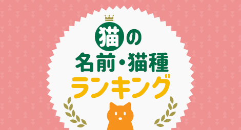 猫の名前・猫種ランキング
