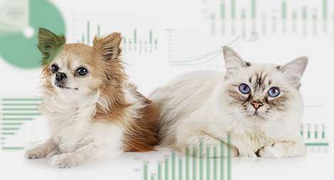 家庭どうぶつ白書