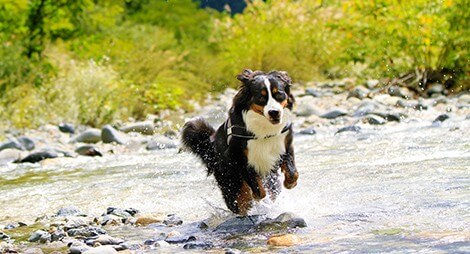 健康寿命延伸への取り組み