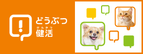 どうぶつ健活